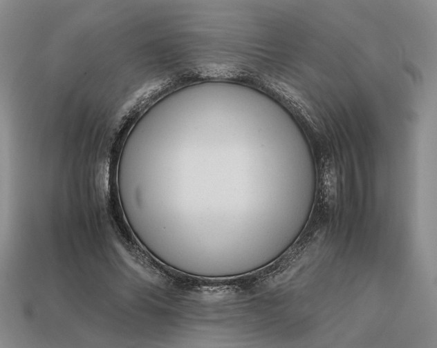 X0000112970686200909101653