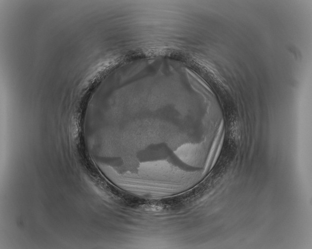 X0000112970687200909101653