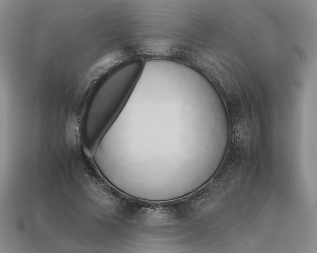 X0000112970688200909101653