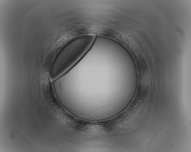 X0000112970689200909101653