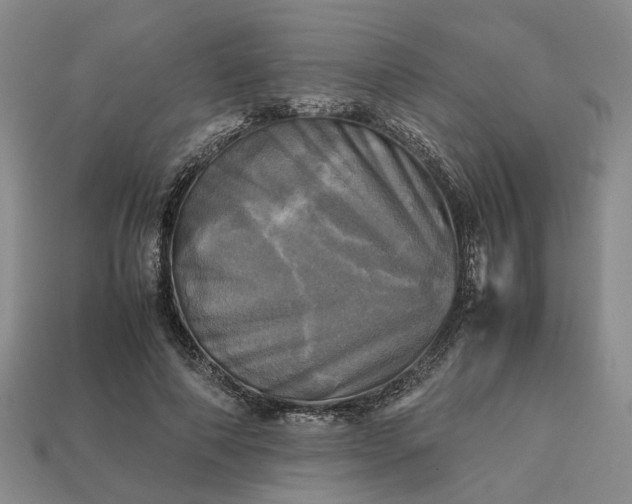 X0000112970690200909101653