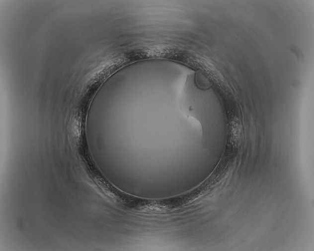 X0000112970691200909101653