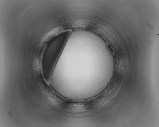 X0000112970692200909101653