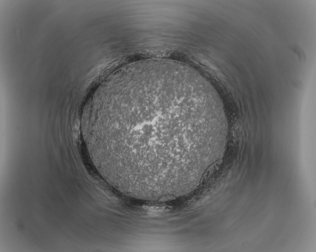 X0000112970693200909101653