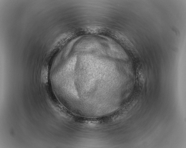 X0000112970694200909101653