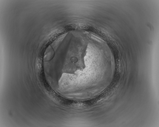 X0000112970695200909101653