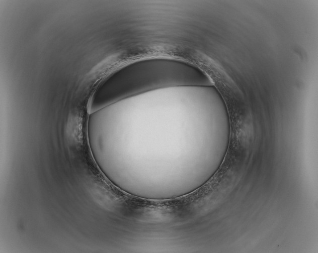 X0000112970696200909101653