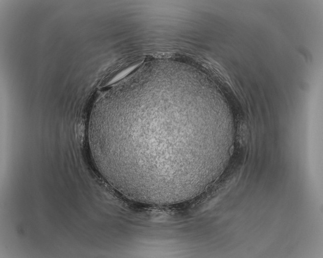 X0000112970697200909101653