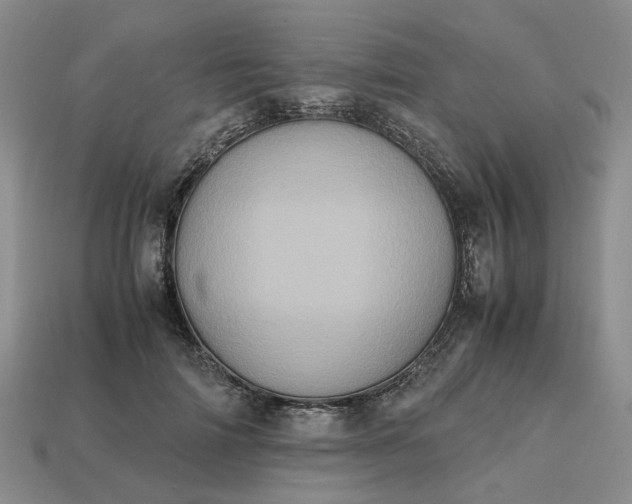 X0000112970698200909101653