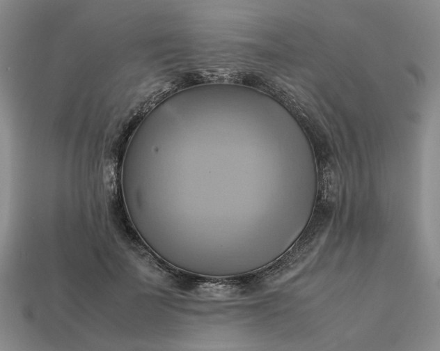 X0000112970699200909101653