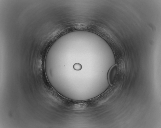 X0000112970700200909101653