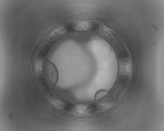 X0000112970701200909101653