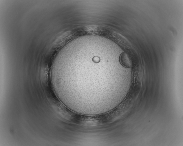 X0000112970702200909101653