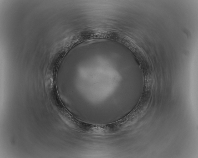 X0000112970703200909101653