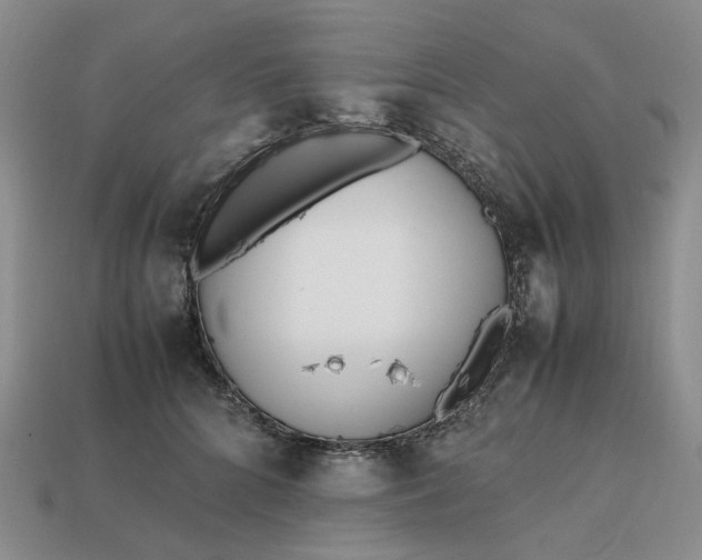 X0000112970704200909101653