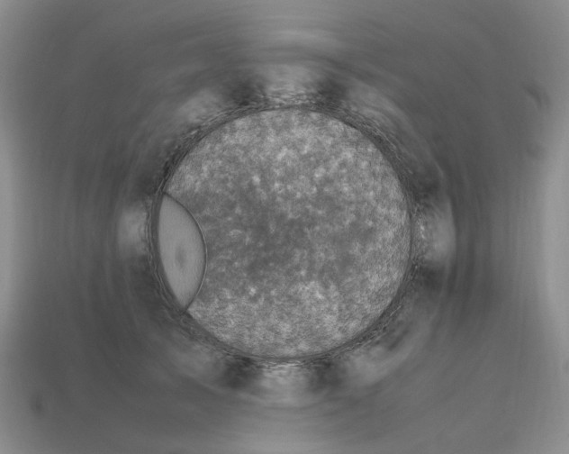 X0000112970705200909101653