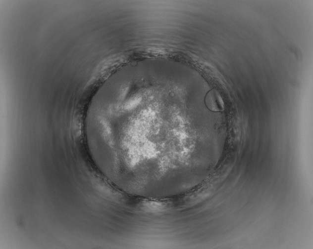 X0000112970706200909101653