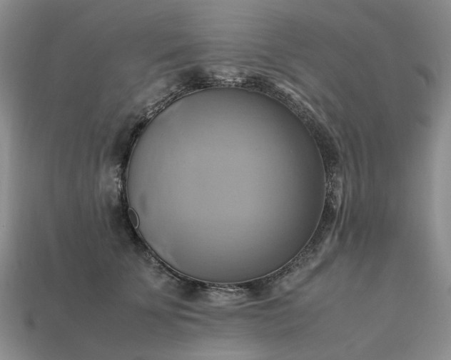 X0000112970707200909101653