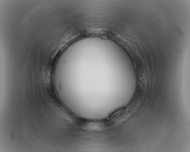 X0000112970708200909101653