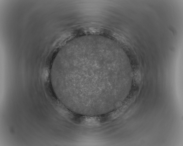 X0000112970709200909101653