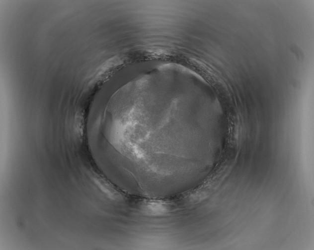 X0000112970710200909101653