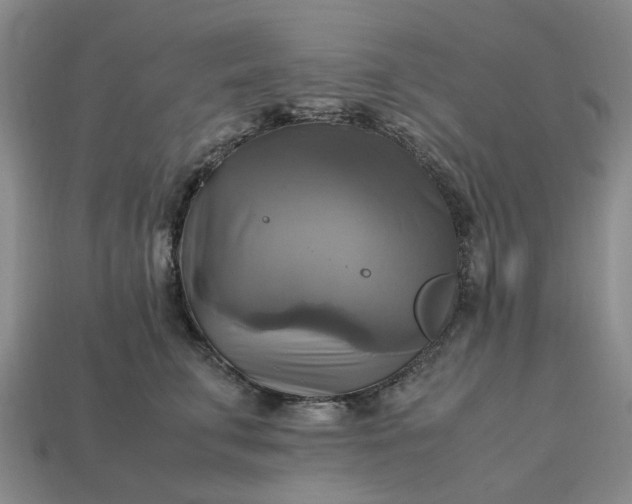 X0000112970711200909101653