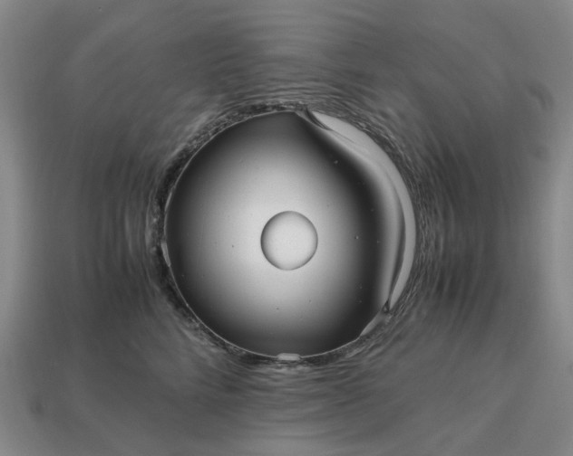 X0000112970712200909101653