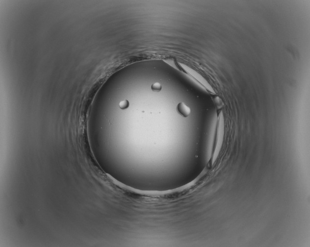 X0000112970713200909101653