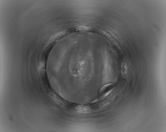 X0000112970714200909101653