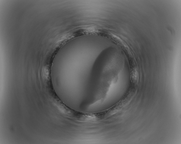 X0000112970715200909101653