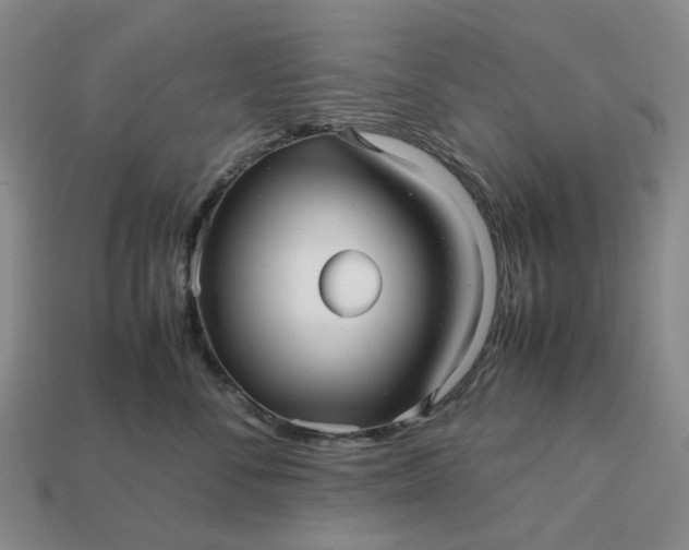 X0000112970716200909101653