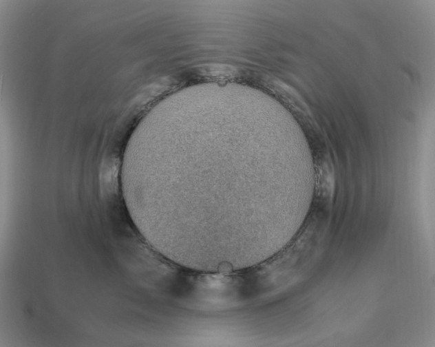 X0000112970717200909101653