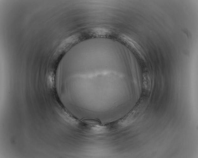 X0000112970718200909101653