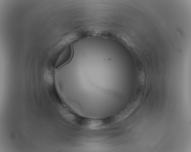 X0000112970719200909101653