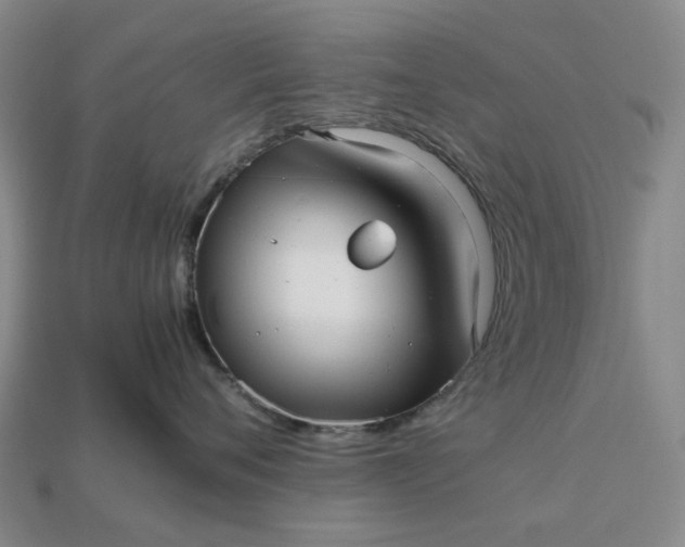 X0000112970720200909101653