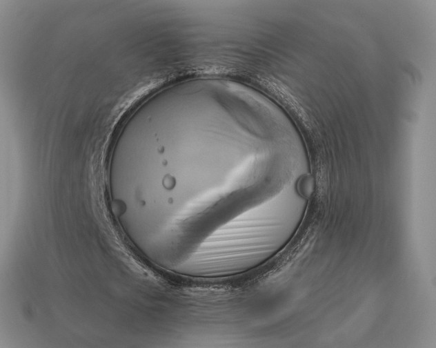 X0000112970721200909101652