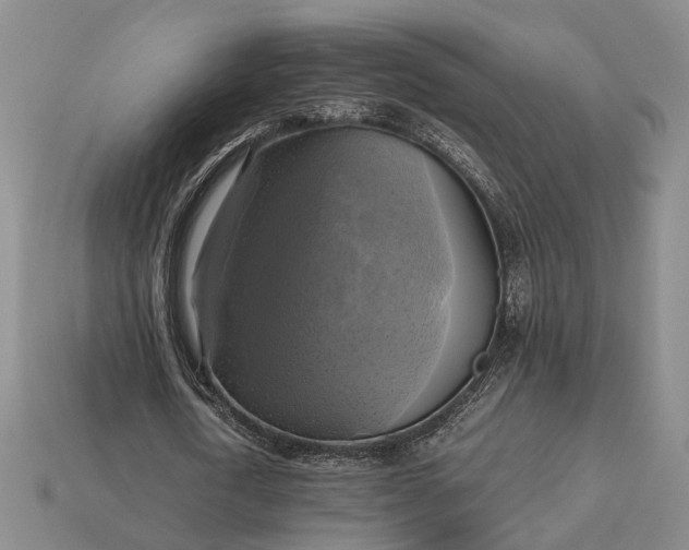 X0000112970722200909101652