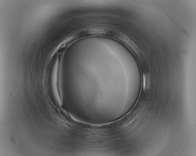 X0000112970723200909101652