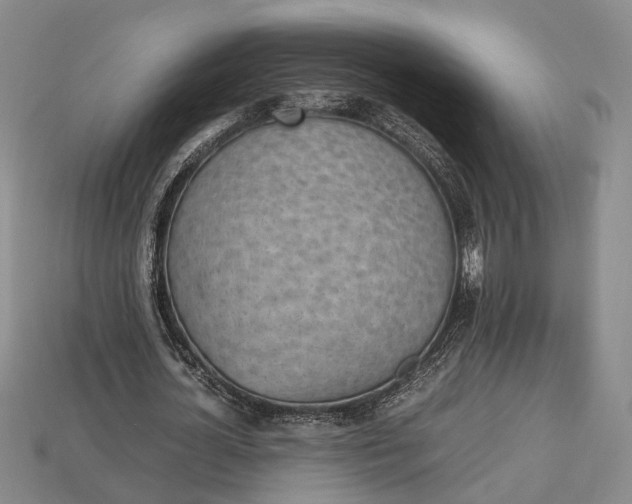 X0000112970724200909101652