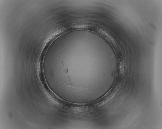 X0000112970725200909101652