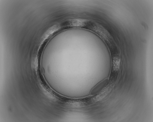 X0000112970726200909101652