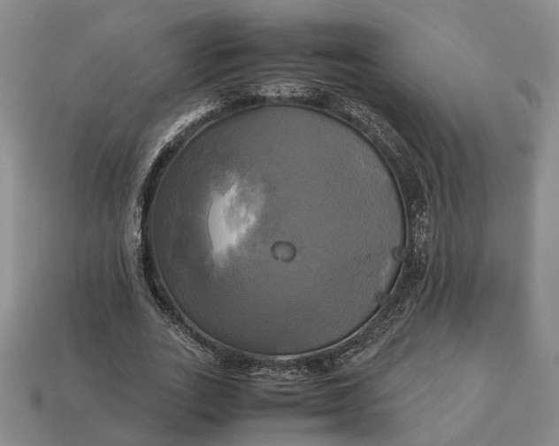 X0000112970727200909101652