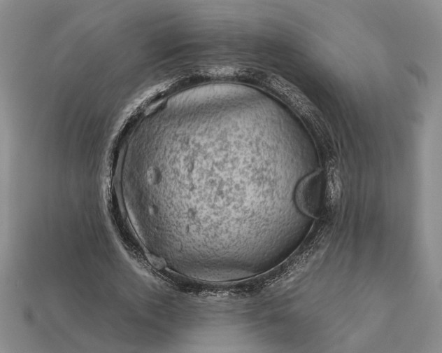 X0000112970728200909101652