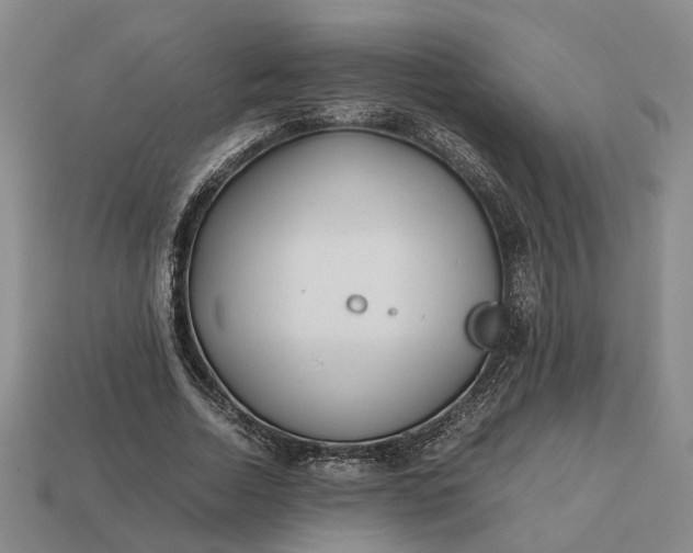 X0000112970730200909101652