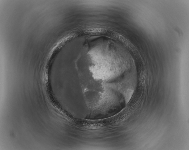 X0000112970731200909101652