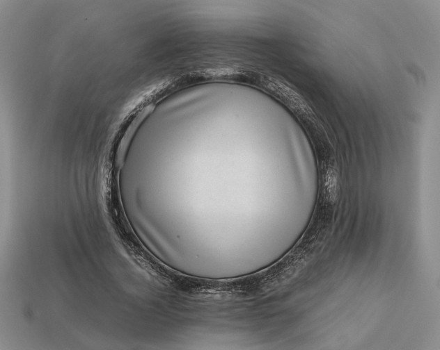 X0000112970732200909101652