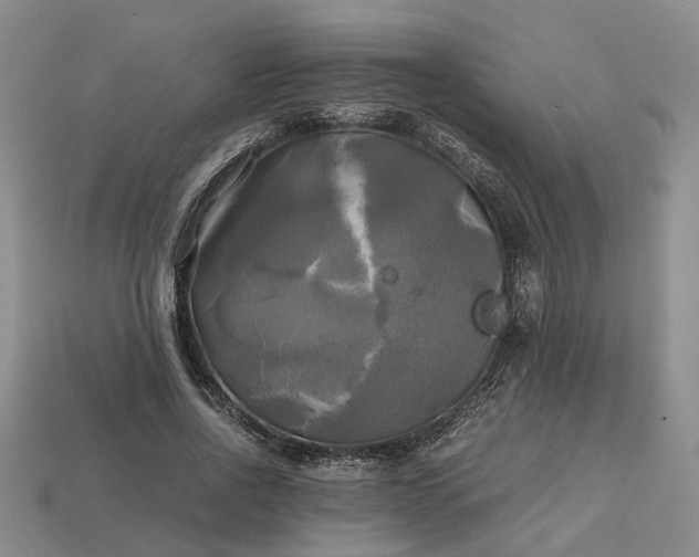 X0000112970734200909101652