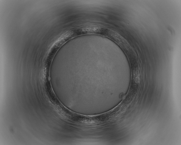 X0000112970735200909101652