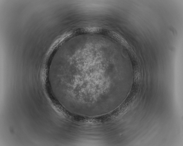 X0000112970736200909101652