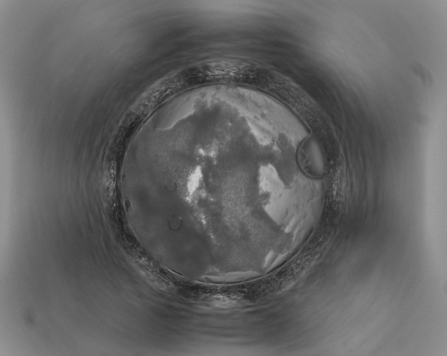 X0000112970737200909101652